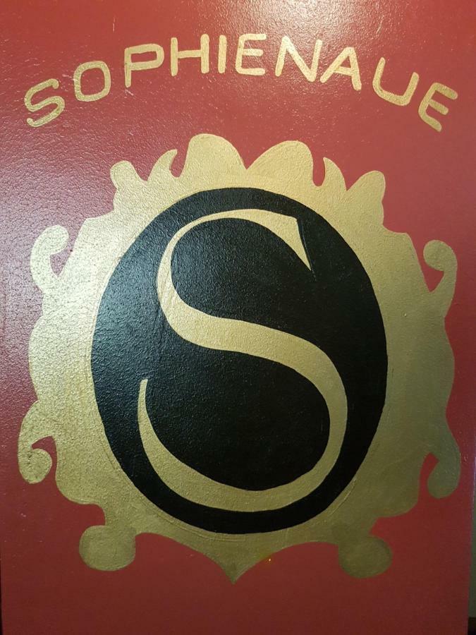 אייזנבאך Hotel - Restaurant Sophienaue מראה חיצוני תמונה